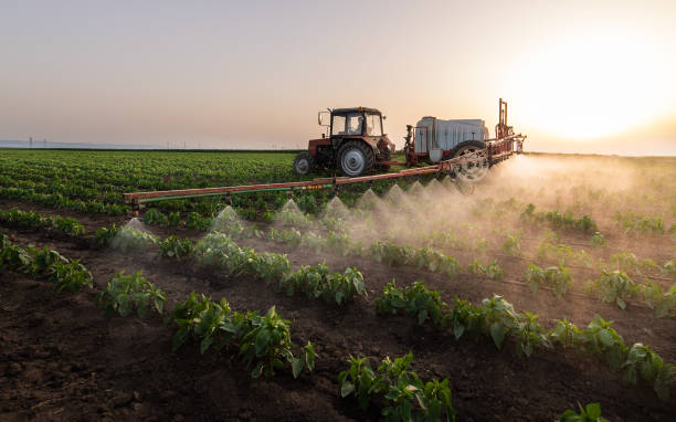 Best Pest Removal Services  in Walcott, IA