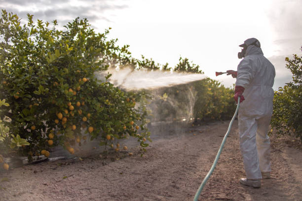 Best Pest Control Near Me  in Walcott, IA