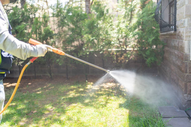 Best Best Pest Control Companies  in Walcott, IA