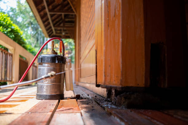 Best Exterminator Services  in Walcott, IA