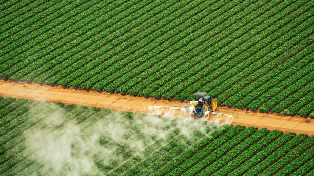 Pest Control Cost in Walcott, IA