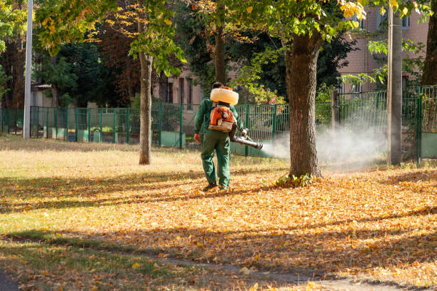 Best Ant Control Services  in Walcott, IA