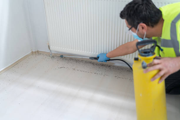 Best Affordable Pest Control Services  in Walcott, IA