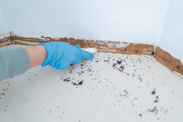 Best Best Pest Control Companies  in Walcott, IA